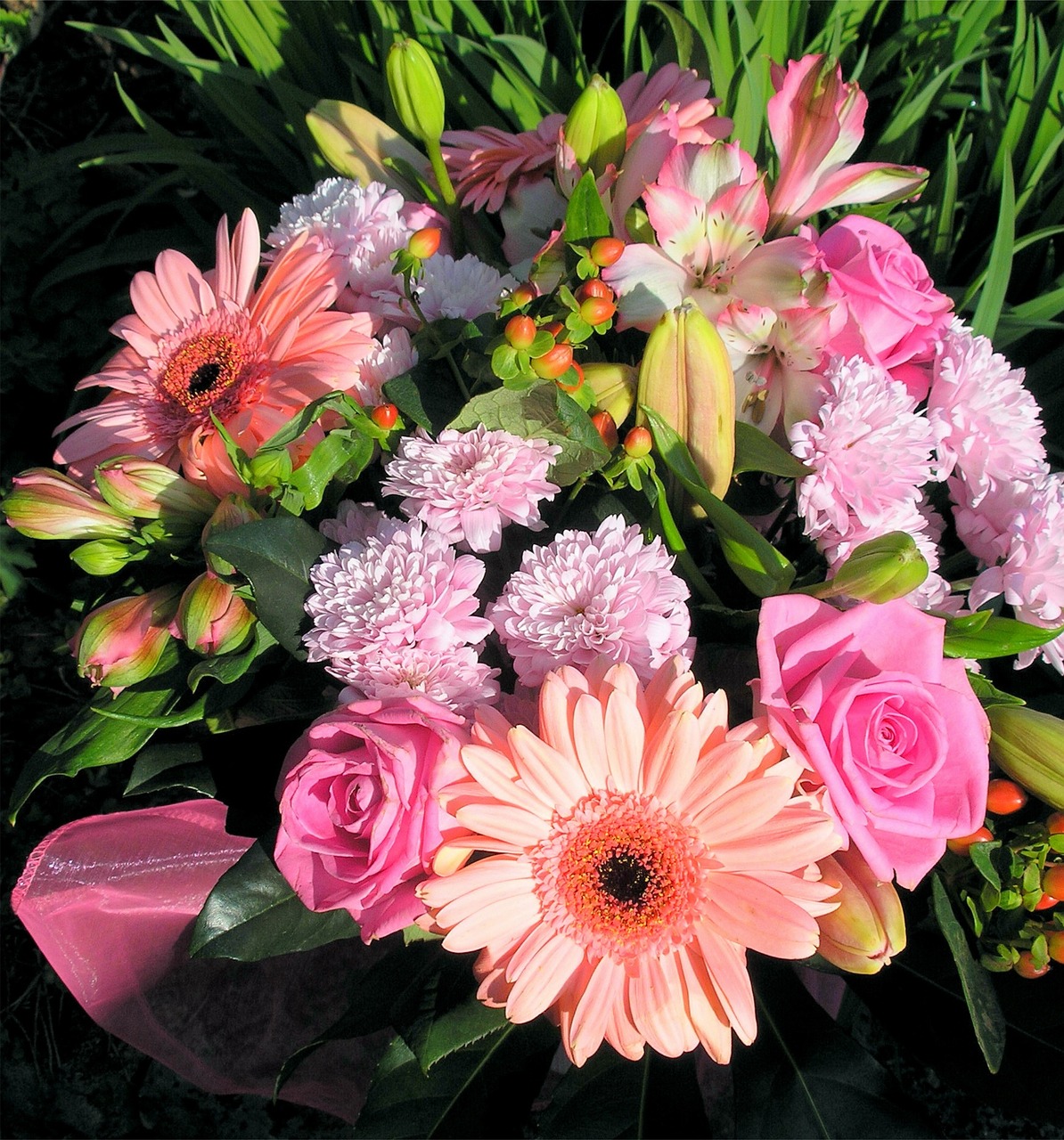 sotw: chocolate and flowers